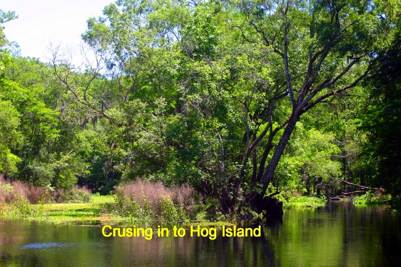 Photo of Hog Island not far from the famous Iron Bridge.