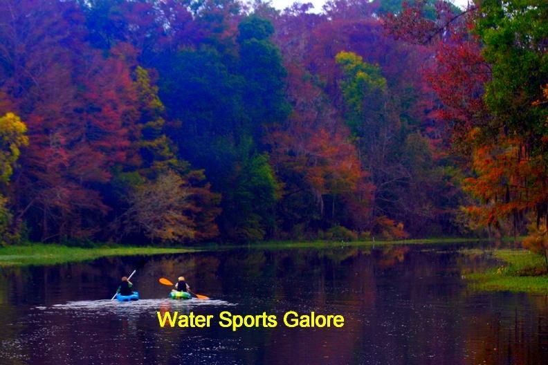 Children and adults canoe and kayak along the Withlacoochee River in the State Park every day. Beautiful year round. Wildlife abounds.