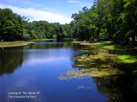 More of the Withlacoochee State Park's spectacular scenery.