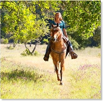 Horseback riding is nearby - Ride through the Withlacoochee State Forest on horseback