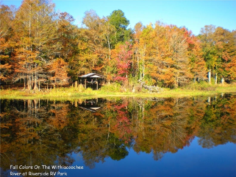 Spectacular fall foliage on the Withlacoochee River in the State Forest.