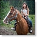 Stable Horses when available let you explore the forest on horseback.