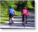 Bicycle Trail through the Withlacoochee State Forest.