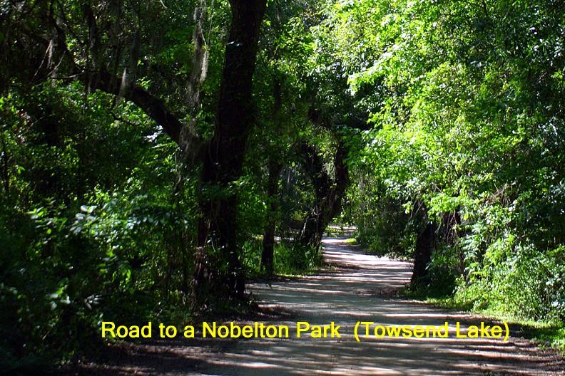 Townsend Lake road to one of the many parks in Nobleton.