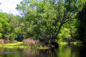 Photo of Hog Island - a much loved travel destination for Kayakers and Canoers for generations.