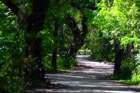 Old country roads with canopies of trees abound throughout our beautiful State Park area. Get away from it all to a place worth going.