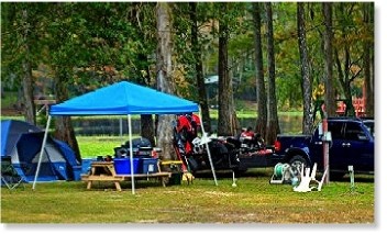 Camping out in the Withlacoochee Forest at Riverside.