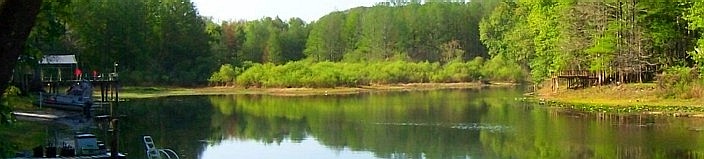 Riverside RV Park, Bushnell, Florida 33513