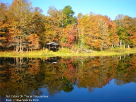 Autumn along the Withlacoochee River in autumn offers breathtaking foliage and serene beauty.